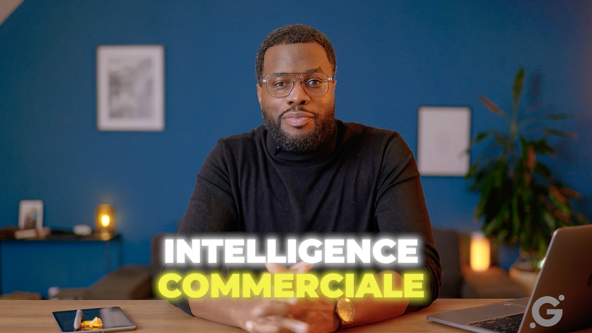 Intelligence Commerciale